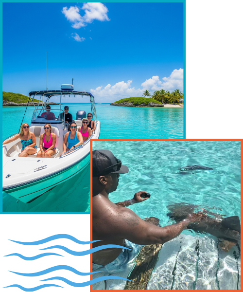 Boat tour and swimming with sharks.
