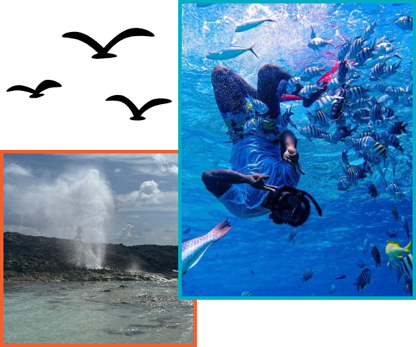 snorkeling and adventure