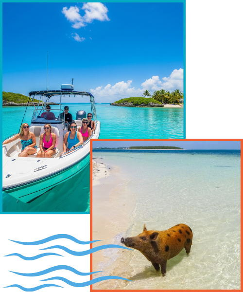 boating and pig in water