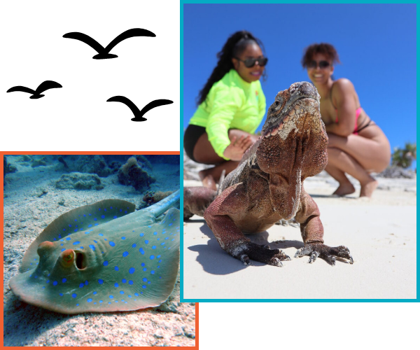 Exuma Snorkeling & Boat Tours
