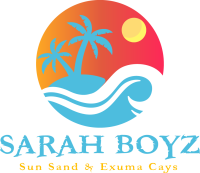 Sarah Boyz logo